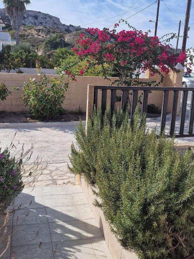 Aelia House Kefalos - Cozy & Quiet 외부 사진