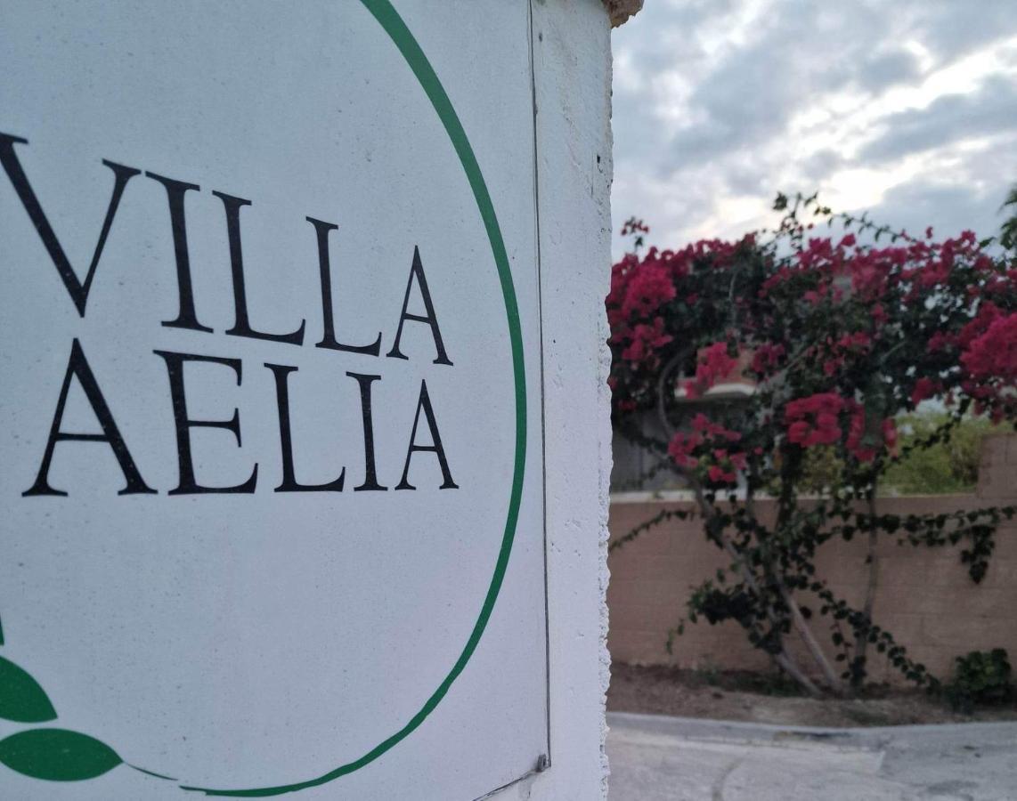 Aelia House Kefalos - Cozy & Quiet 외부 사진